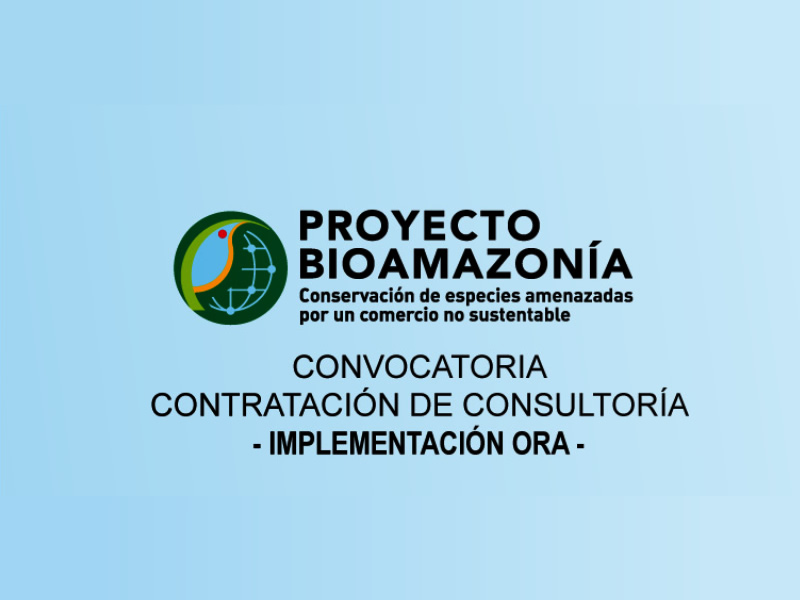 CONVOCATORIA OTCA está contratando consultoría para crear e implementar la plataforma ORA